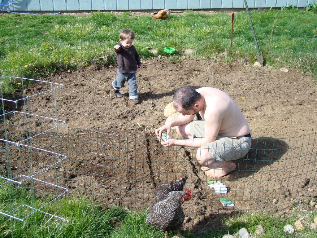 Garden 168